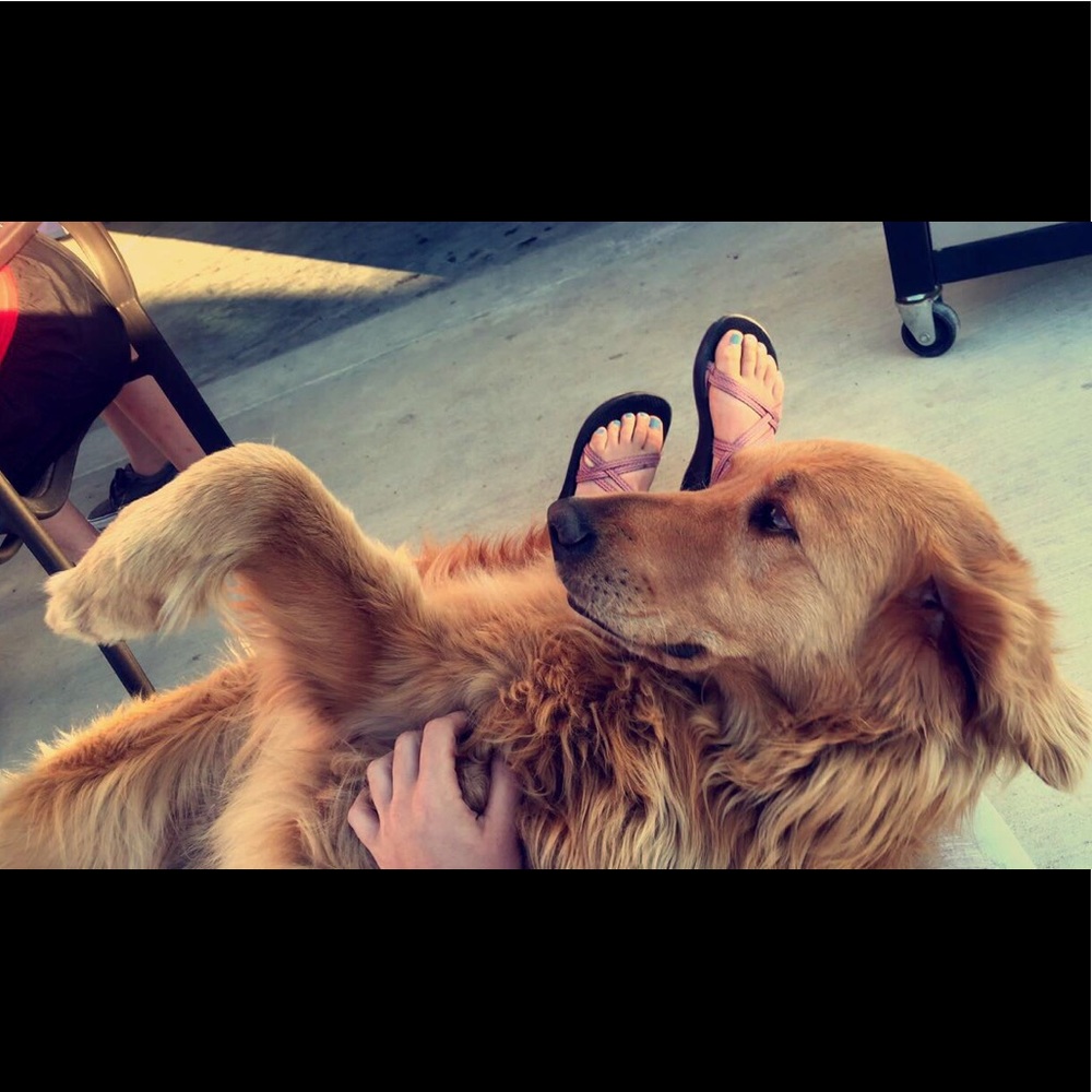 Meet your Posher, Gracie